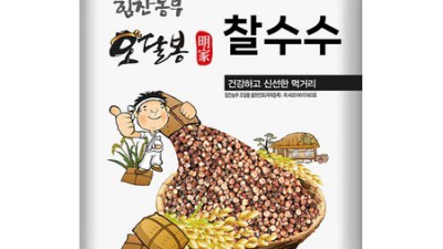 놓치면 후회! 수운수 솔직 후기 & 꿀팁 대방출 🍯